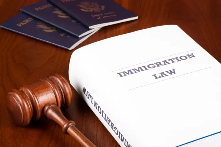 Immigration