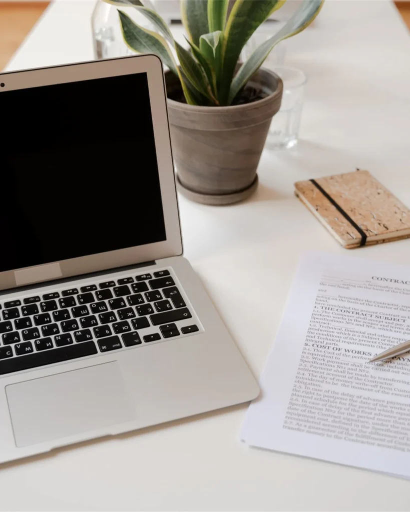 A laptop, documents and a plant on a clean desk
